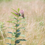 3d开奖给果最新官方公布结果查询 e32nqq5r49