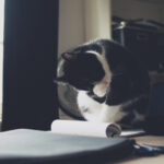 3D开奖走势全面解析:精准预测与选号技巧 rpt2q0bc