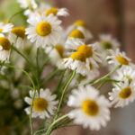 3d开奖结果走势图最新预测与分析技巧 rxpz2lj1