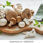 3d开奖走势图连线专业版精准分析长短期号码规律 ytrfnycfoz